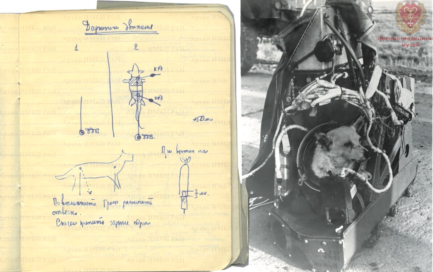 Дневник: крепление датчиков движения